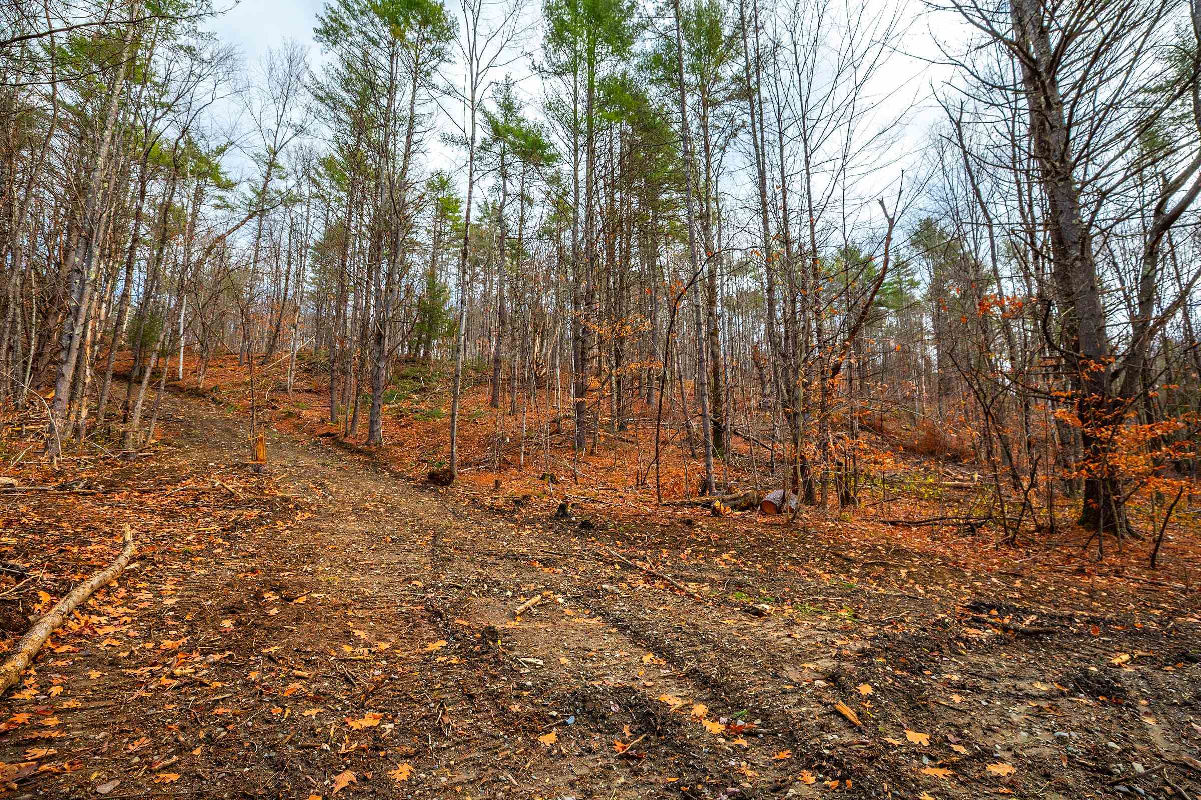 40 East Putney Brook Road Putney, VT 05346 - Photo 22 of 38