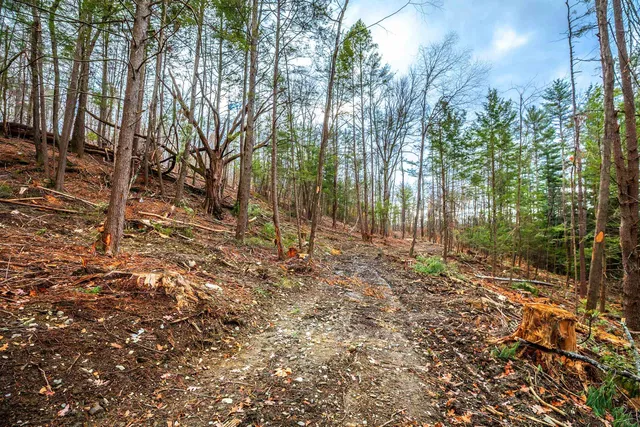 $475,000 | 40 East Putney Brook Road, Putney, VT 05346