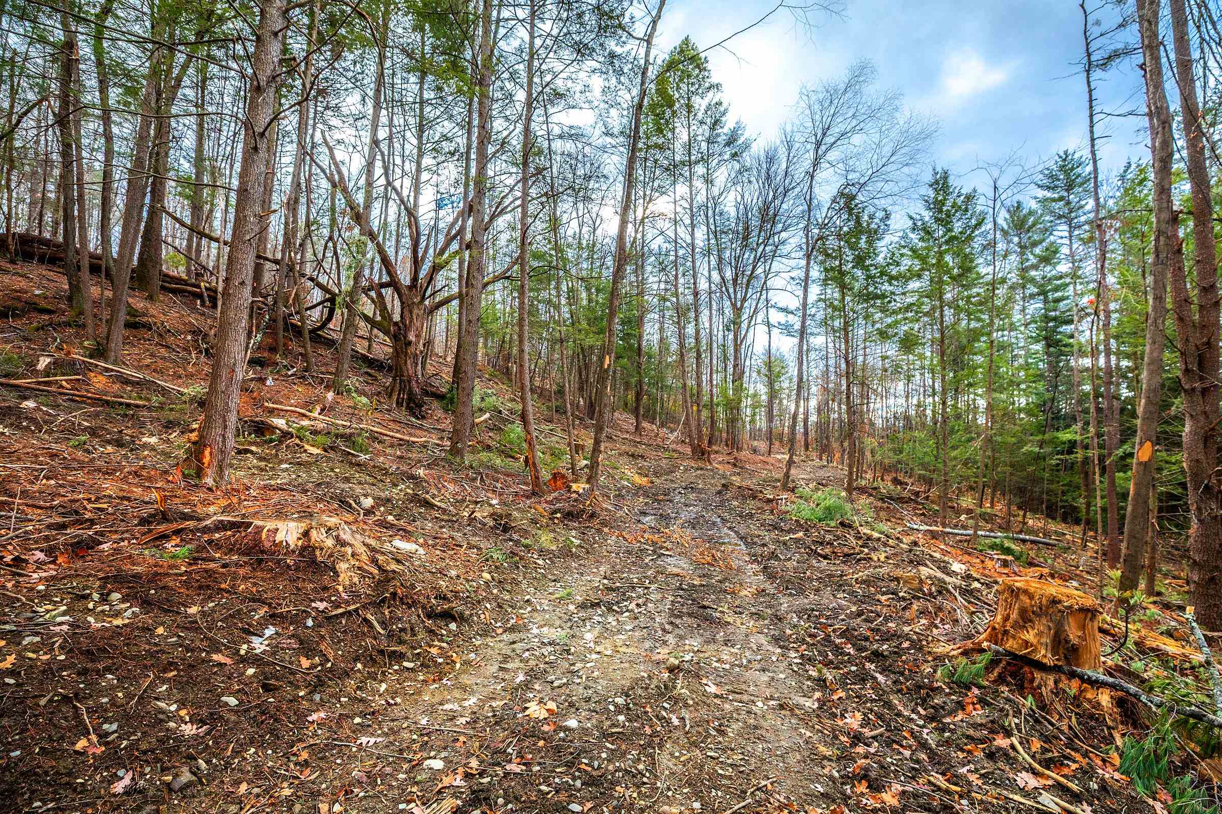 40 East Putney Brook Road Putney, VT 05346 - Photo 23 of 38