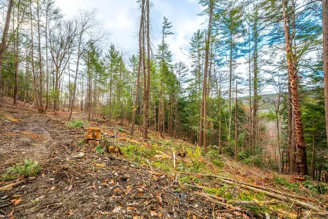 $475,000 | 40 East Putney Brook Road, Putney, VT 05346