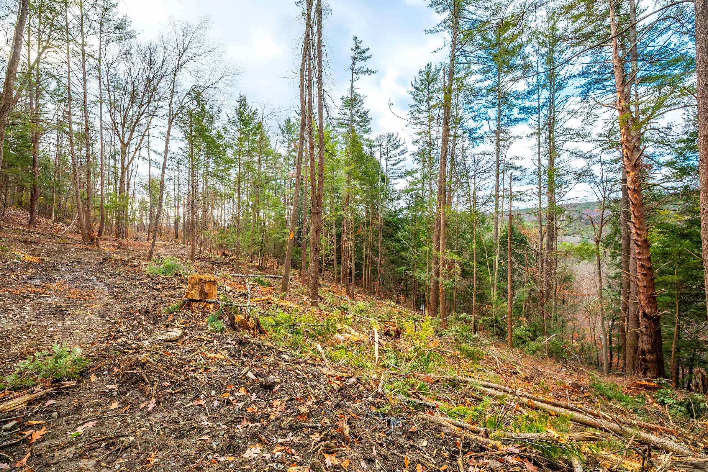 40 East Putney Brook Road Putney, VT 05346 - Photo 24 of 38