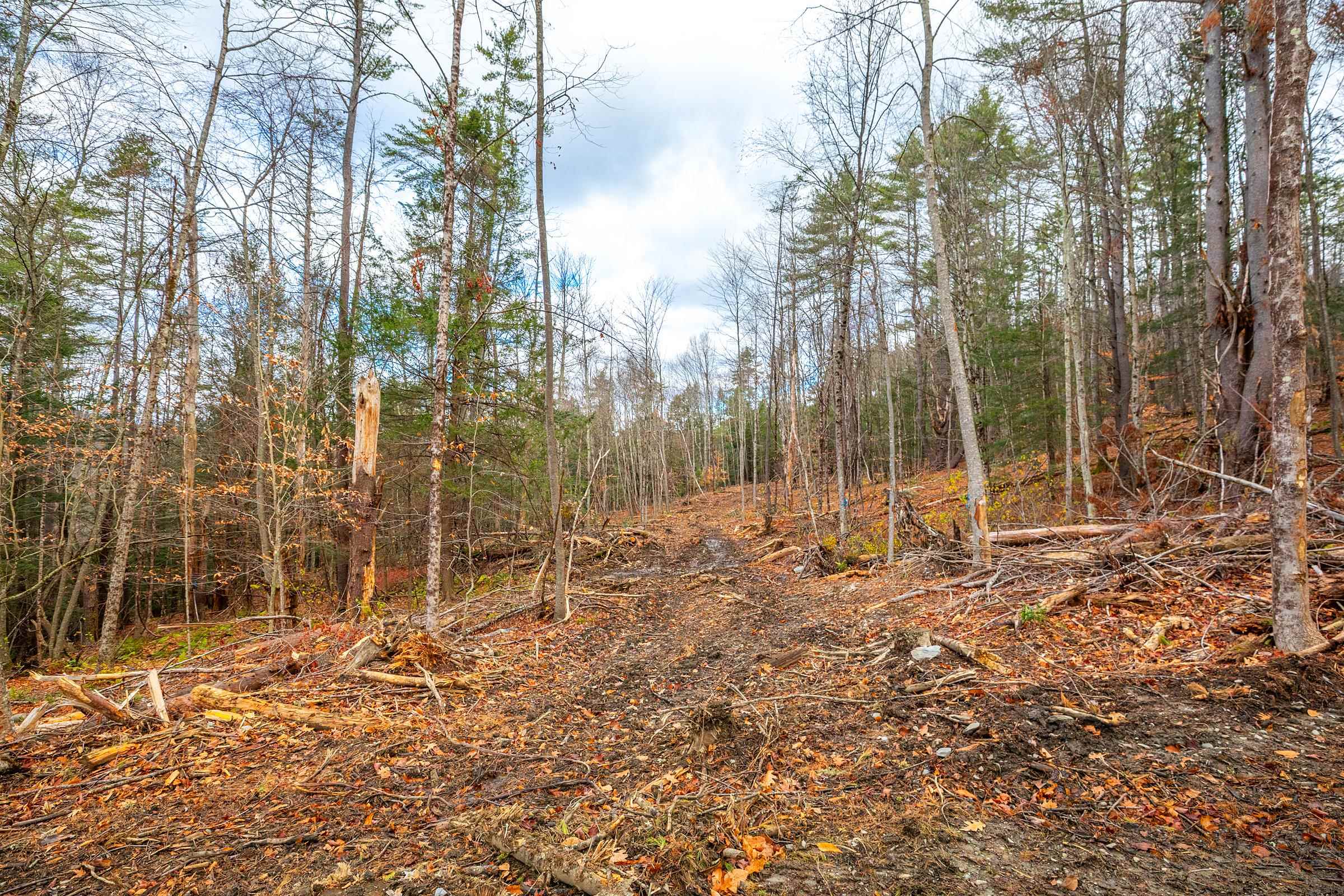 40 East Putney Brook Road Putney, VT 05346 - Photo 25 of 38