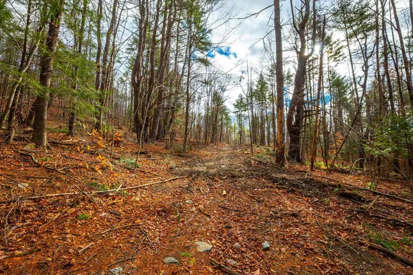 $475,000 | 40 East Putney Brook Road, Putney, VT 05346