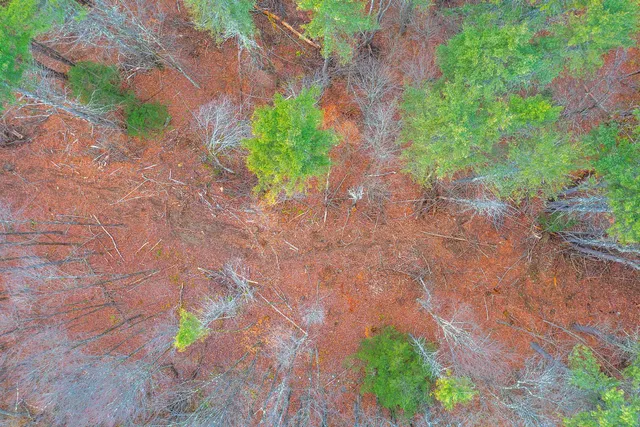 $475,000 | 40 East Putney Brook Road, Putney, VT 05346