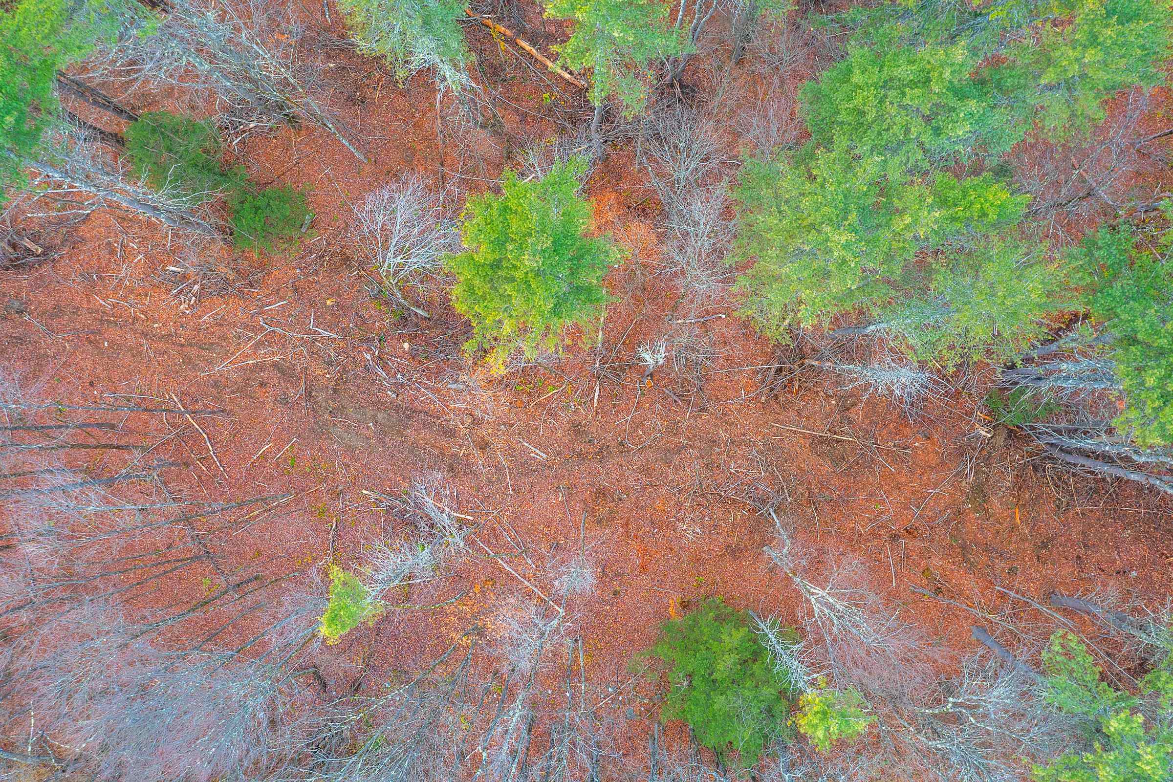 40 East Putney Brook Road Putney, VT 05346 - Photo 31 of 38