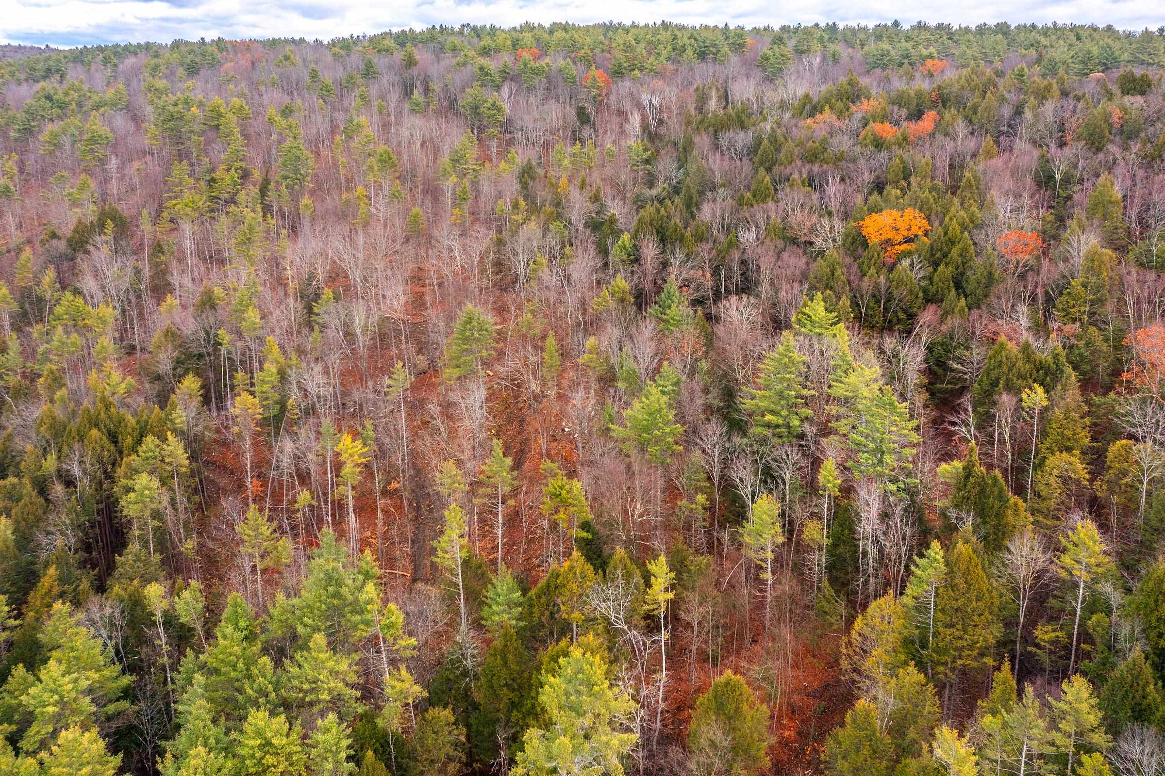 40 East Putney Brook Road Putney, VT 05346 - Photo 34 of 38