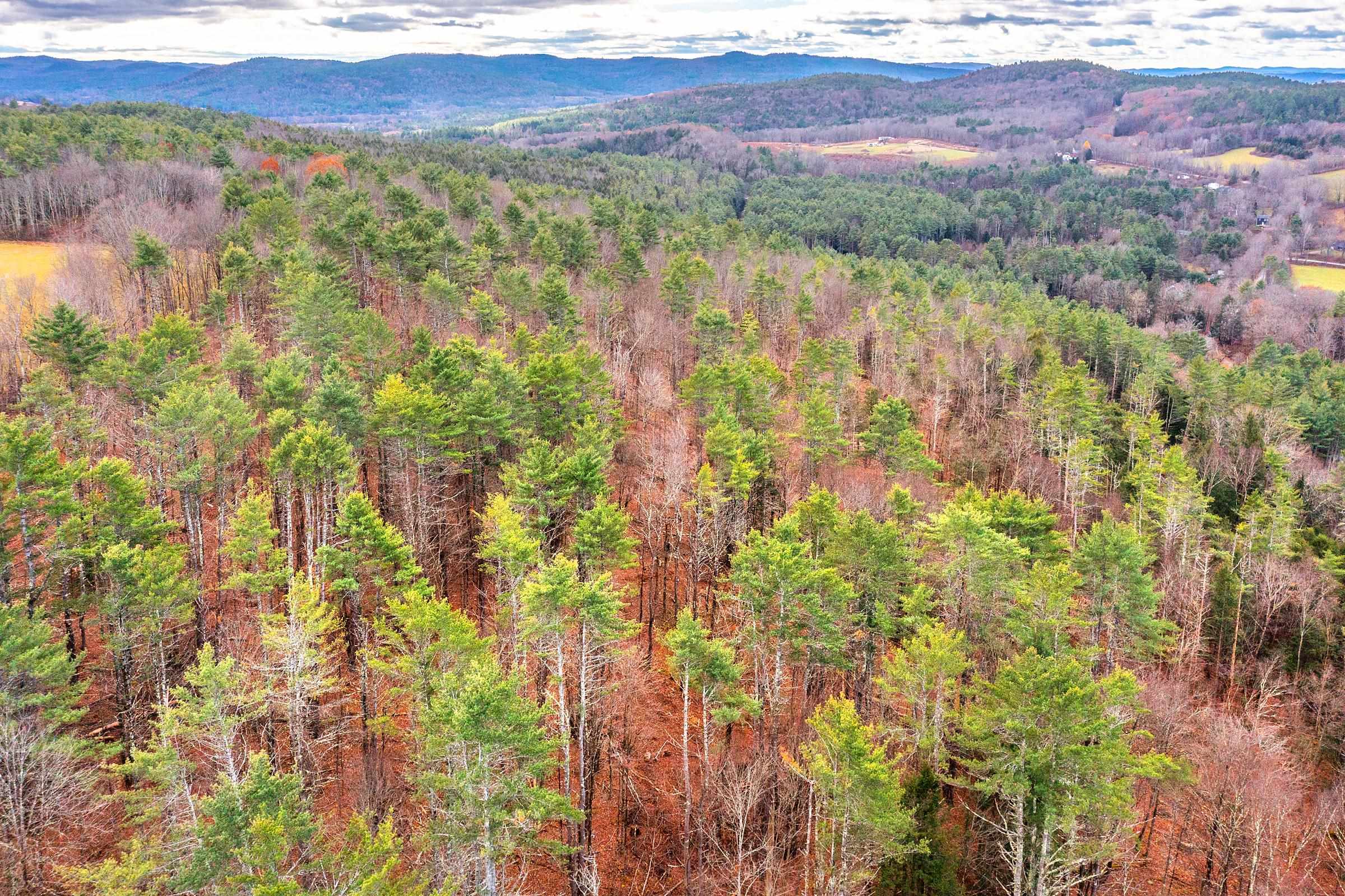 40 East Putney Brook Road Putney, VT 05346 - Photo 36 of 38
