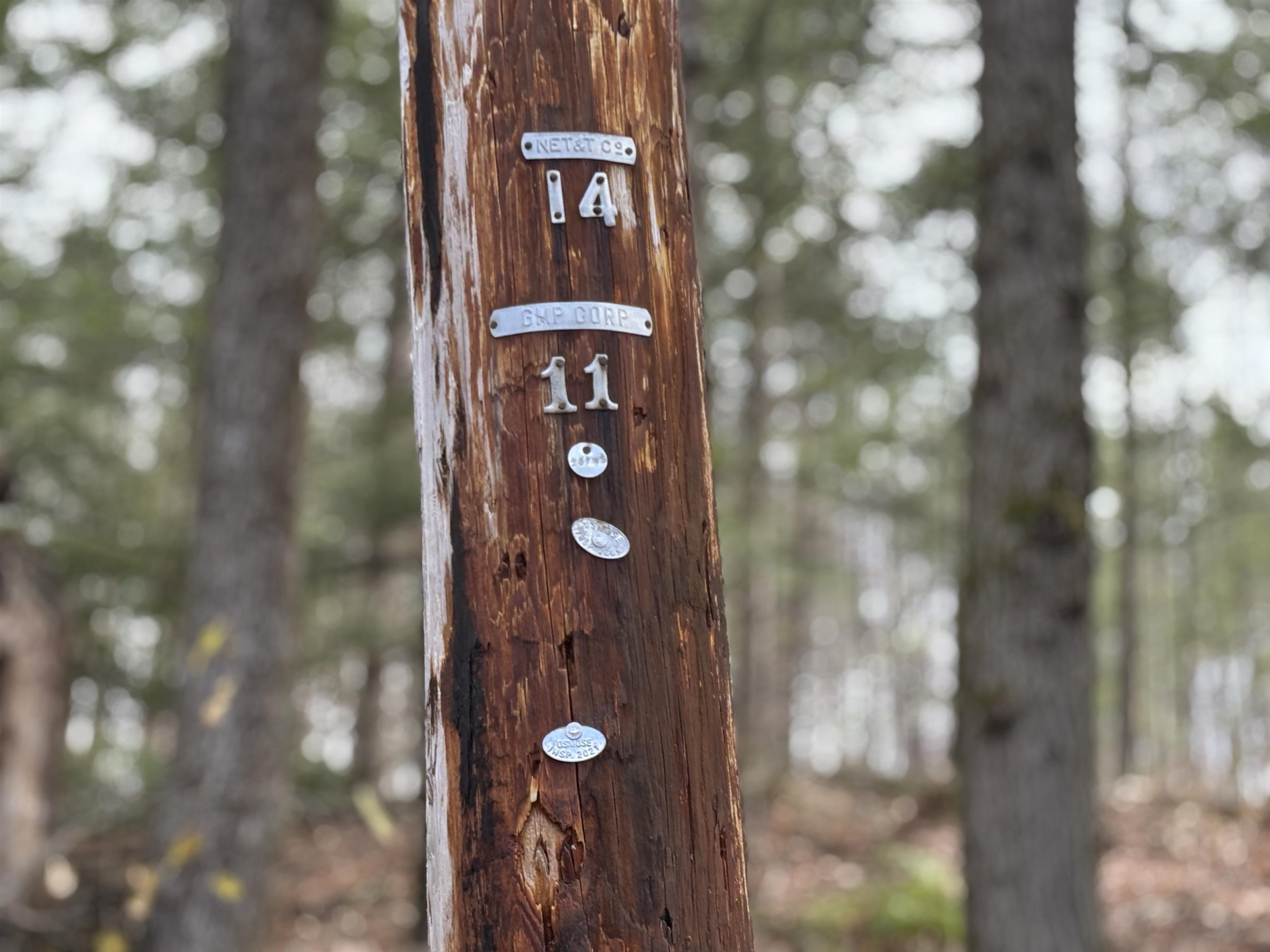 40 East Putney Brook Road Putney, VT 05346 - Photo 38 of 38