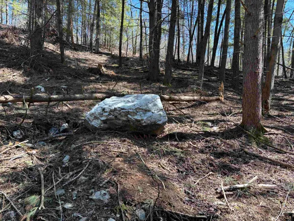 $475,000 | 40 East Putney Brook Road, Putney, VT 05346