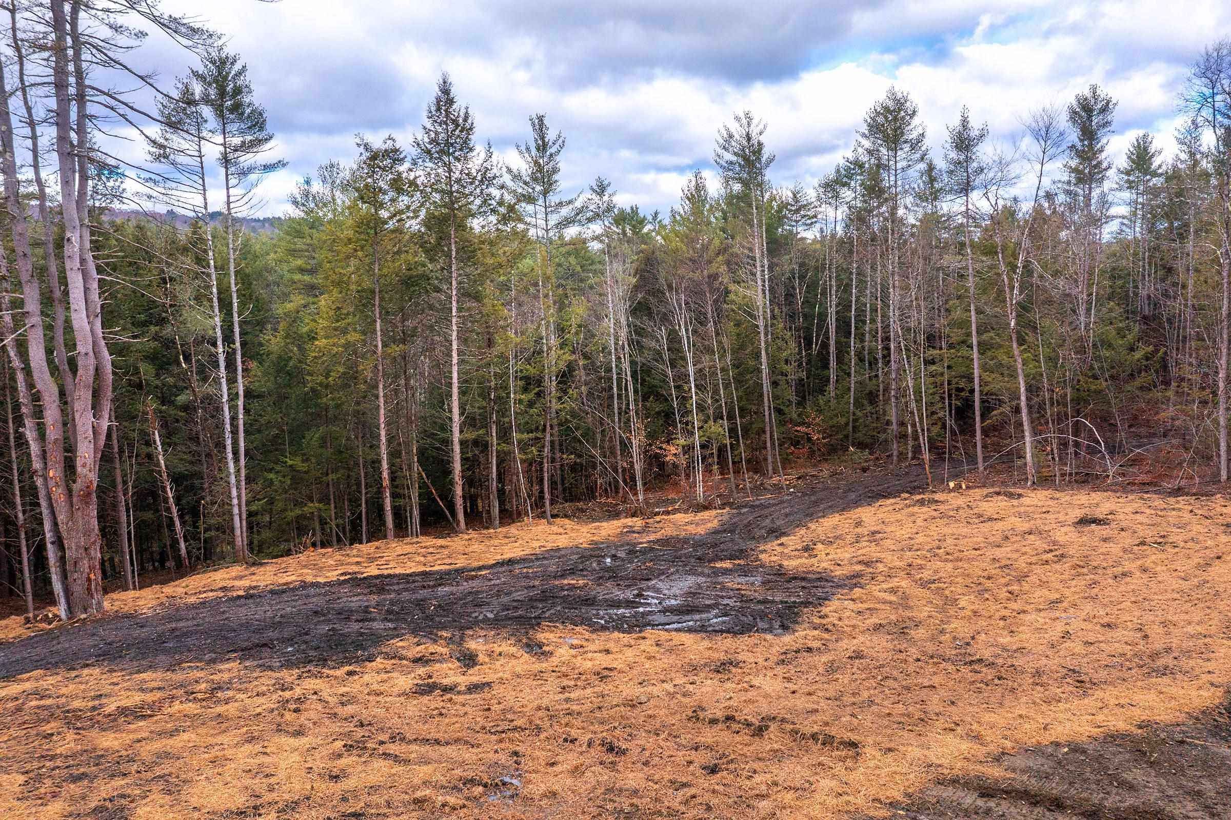 40 East Putney Brook Road Putney, VT 05346 - Photo 10 of 38