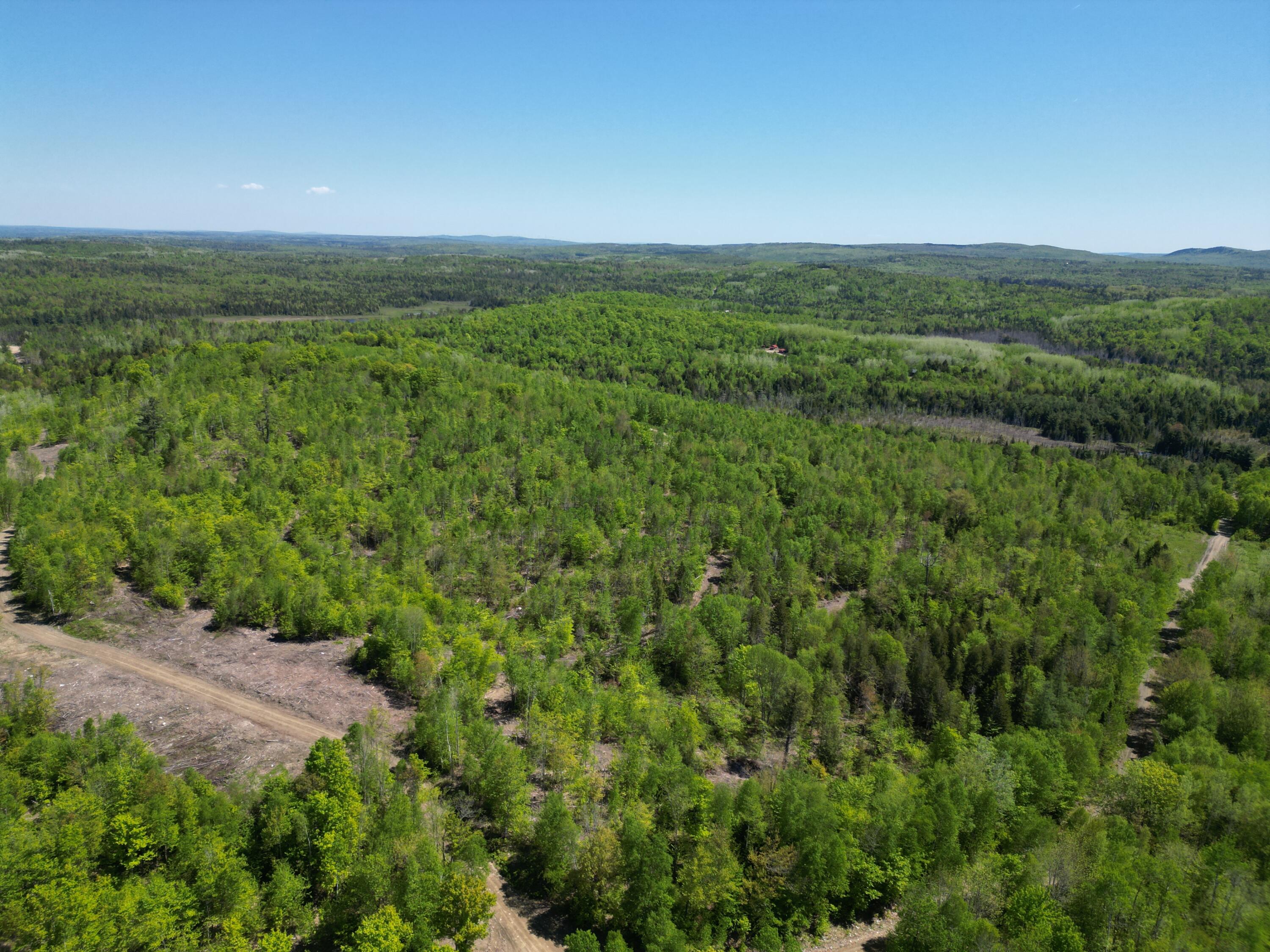 Lot 1 Shep Road Extension Springfield, ME 04487 - Photo 12 of 18 DJI_0032