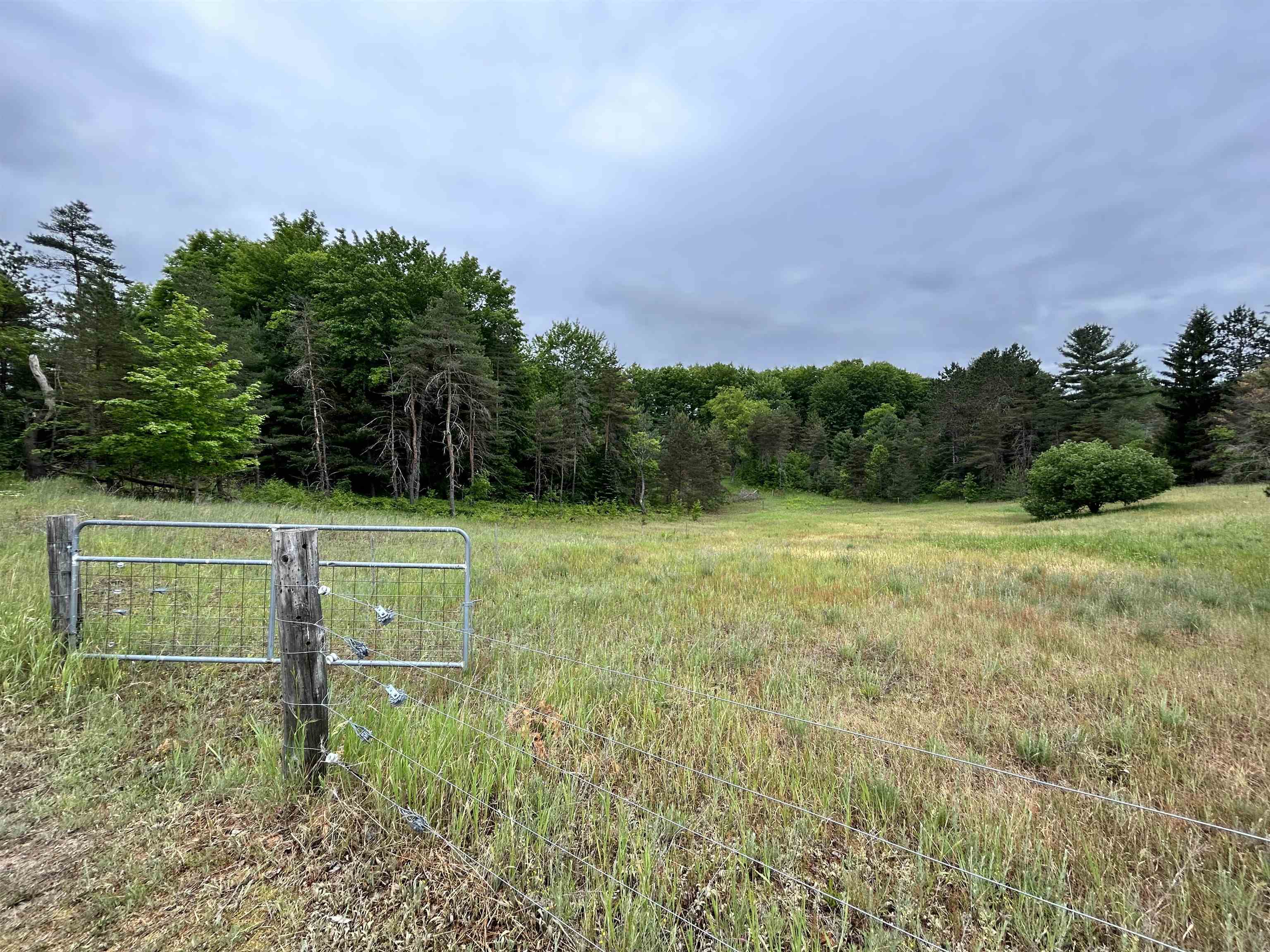 4333 Doerr Road Mancelona, MI 49659 - Photo 47 of 55 1912106-46.JPG