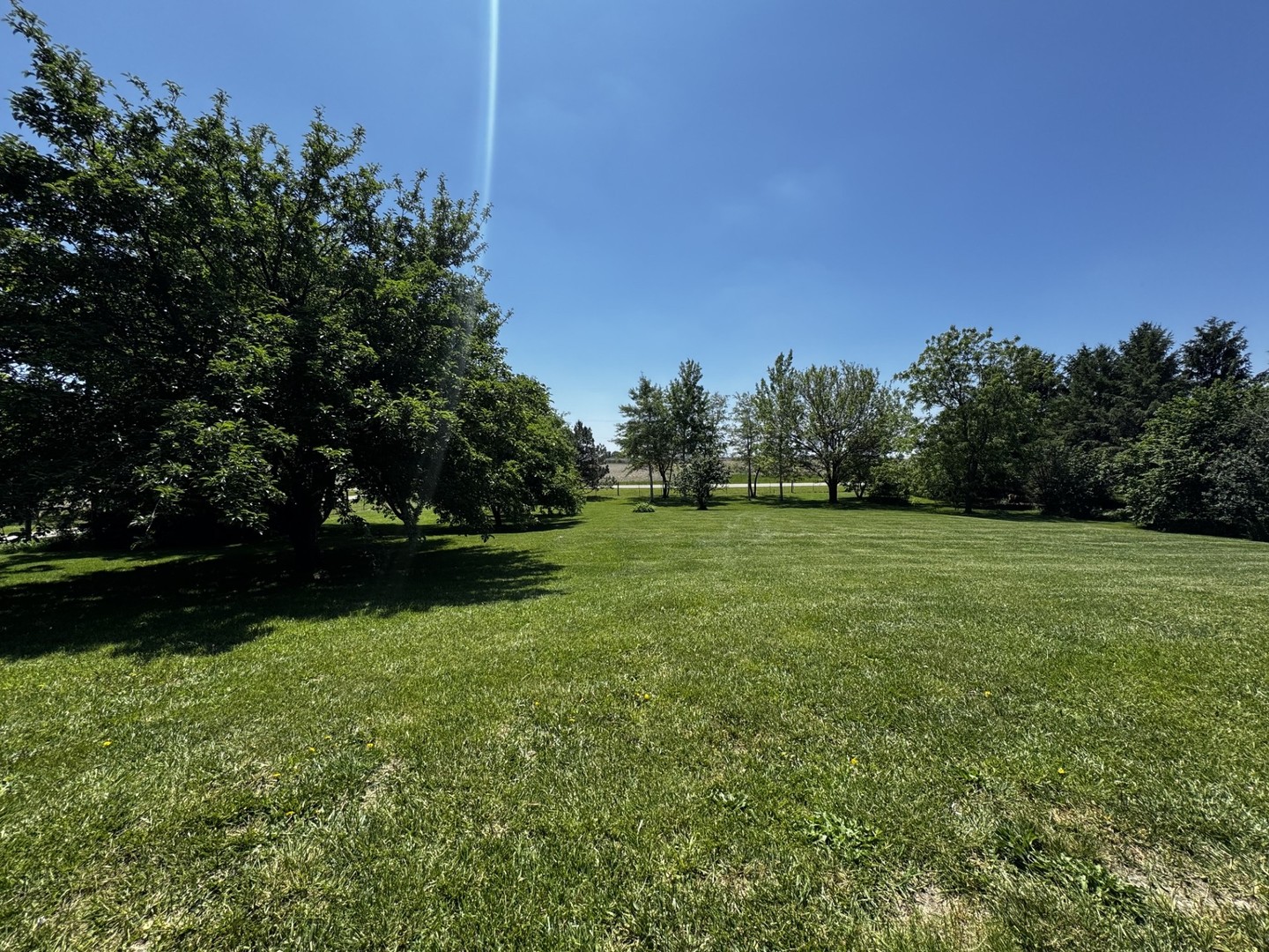 22037 East 2600 N Road Odell, IL 60460 - Photo 9 of 59 a view of a field of grass and trees