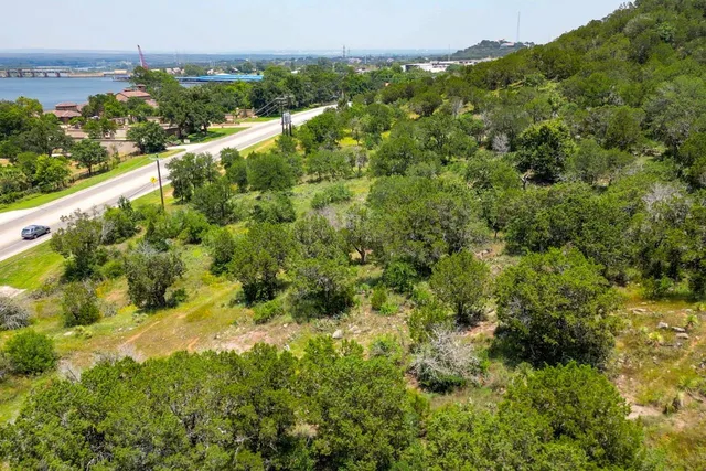 a view of a lush green forest with lawn chairs and large trees