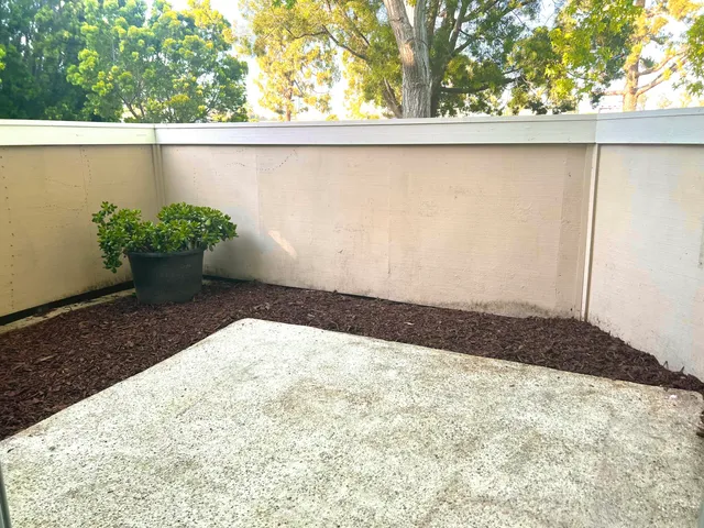 a close up of a potted plant in a backyard