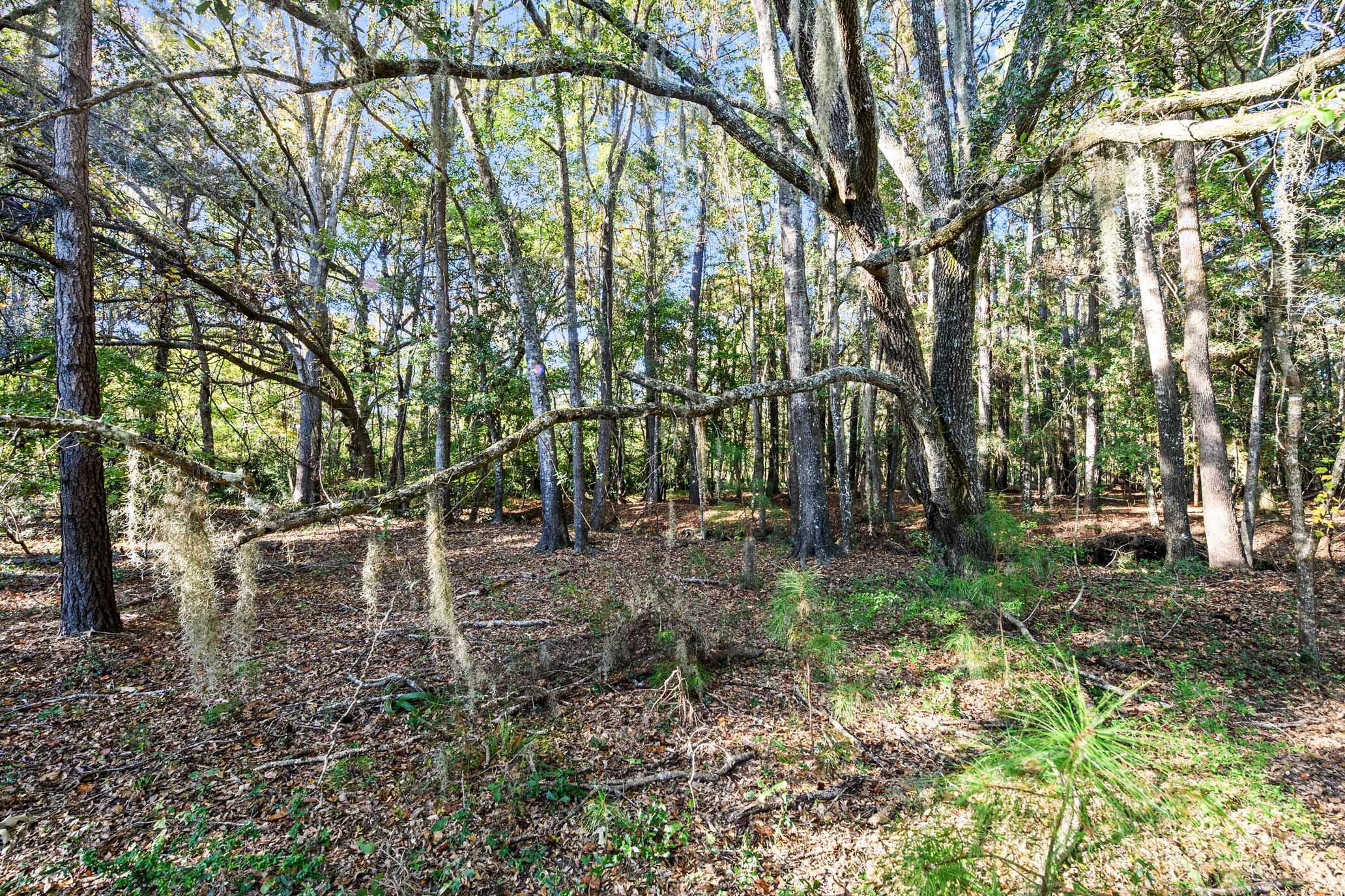 2515 Joseph Pearline Road Johns Island, SC 29455 - Photo 1 of 12 HFL_PLOW GROUND RD_30 ACRES-17