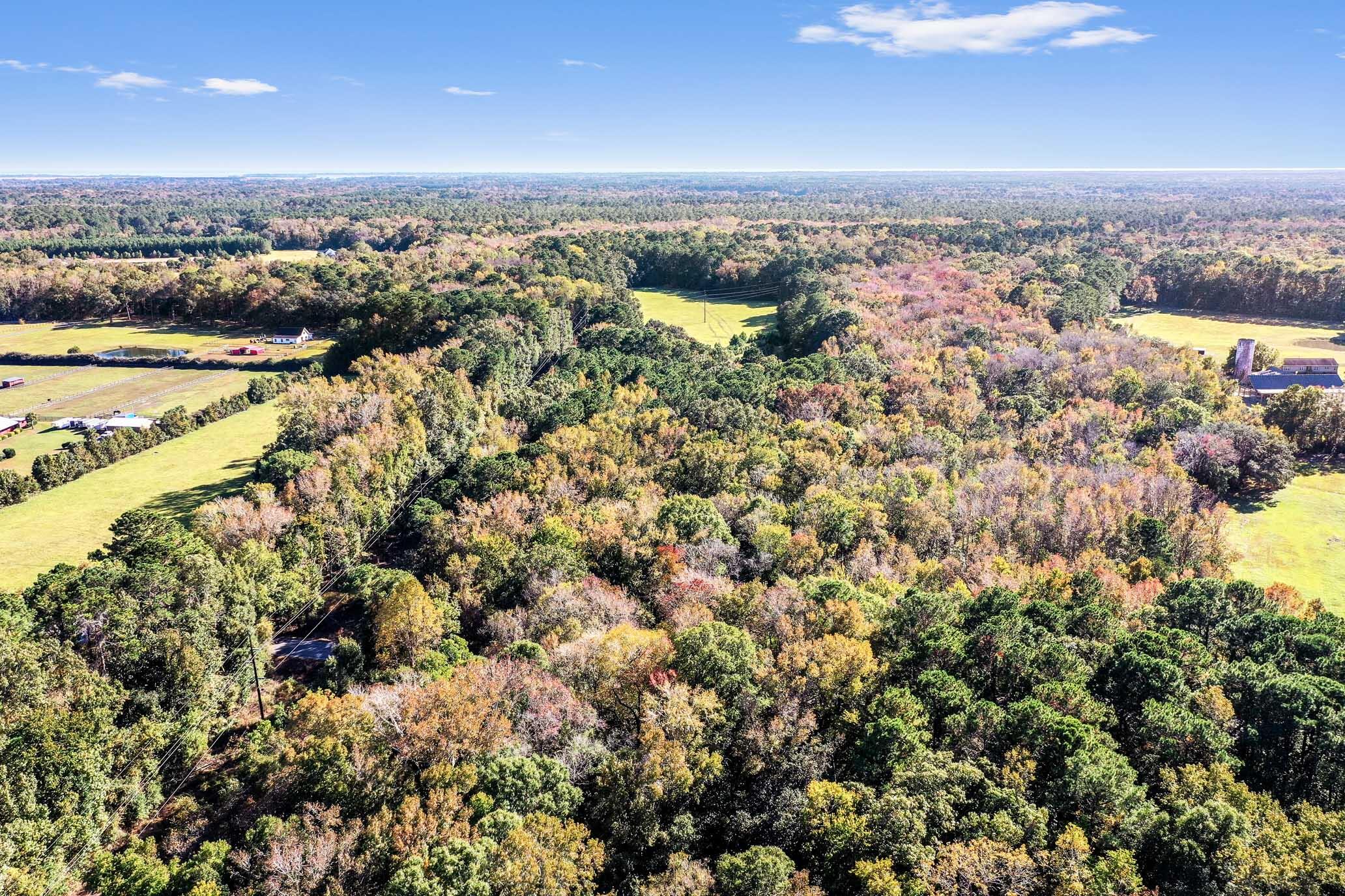 2515 Joseph Pearline Road Johns Island, SC 29455 - Photo 11 of 12 HFL_PLOW GROUND RD_30 ACRES-25