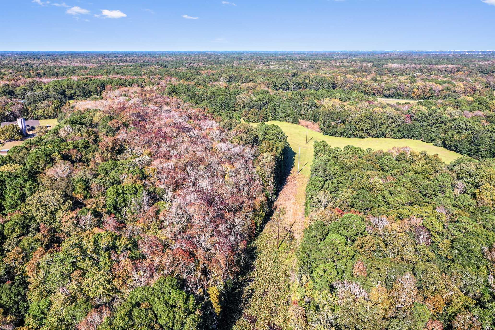 2515 Joseph Pearline Road Johns Island, SC 29455 - Photo 9 of 12 HFL_PLOW GROUND RD_30 ACRES-22