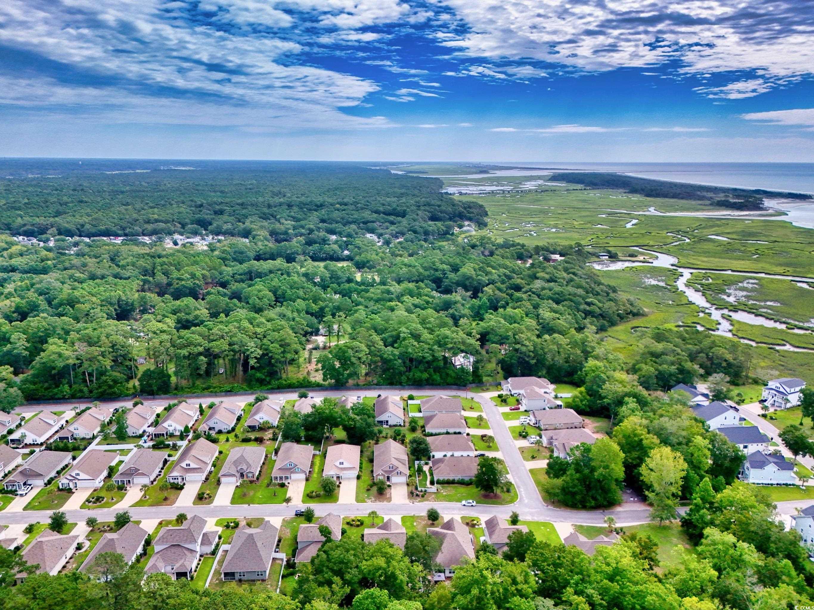 1104 Inlet View Drive North Myrtle Beach, SC 29582 - Photo 7 of 40 Aerial view of residential area featuring a nearby body of water and a forest