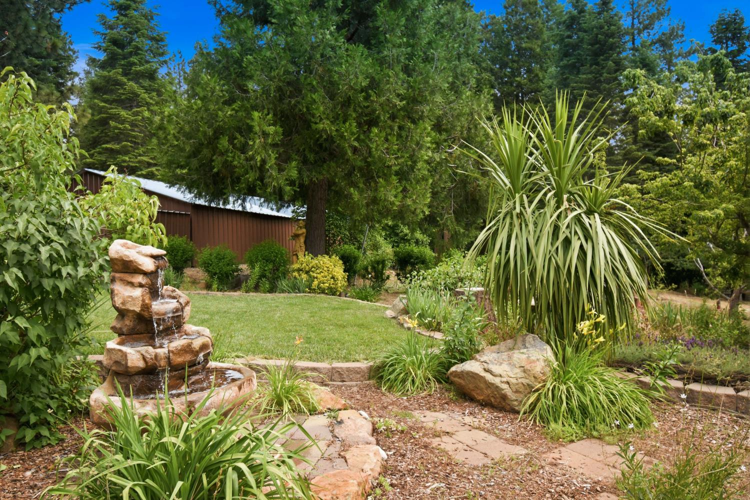 29070 Ridge View Road Foresthill, CA 95631 - Photo 35 of 66