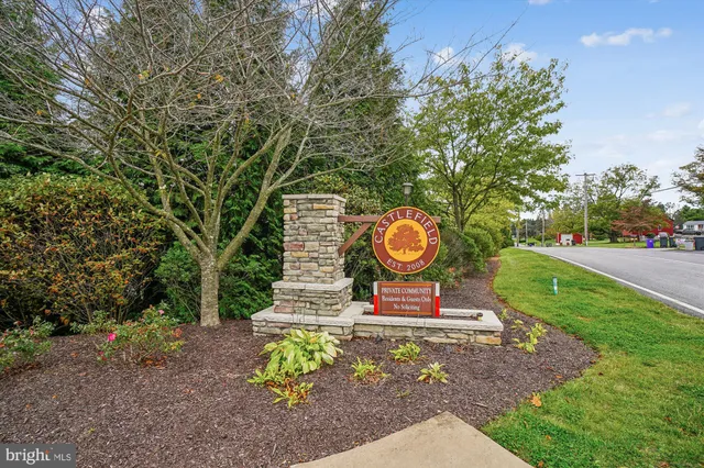 a view of a park with slides and a trees