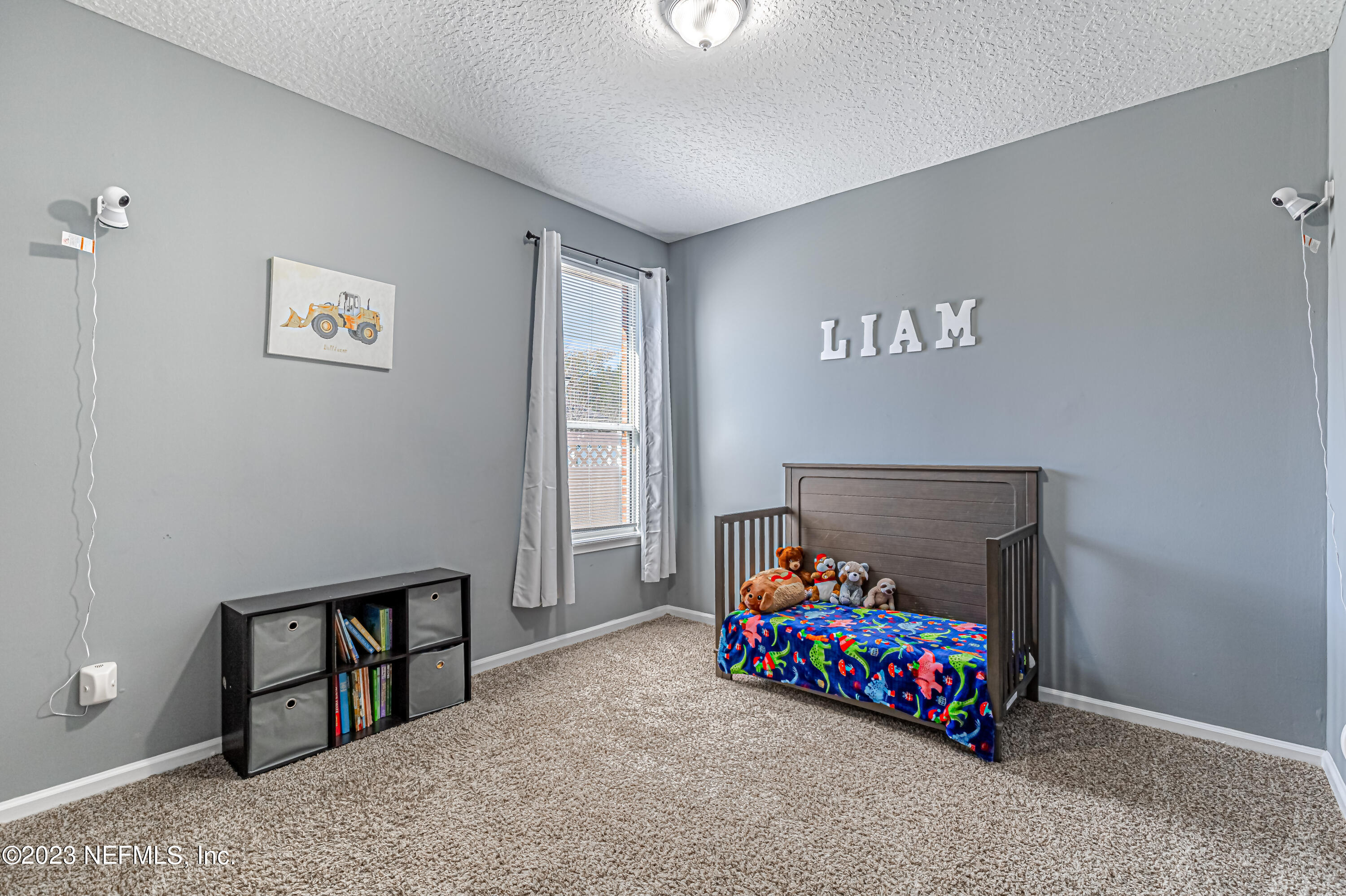 3795 Bedford Drive Middleburg, FL 32068 - Photo 21 of 54 a bedroom with furniture and a baby crib