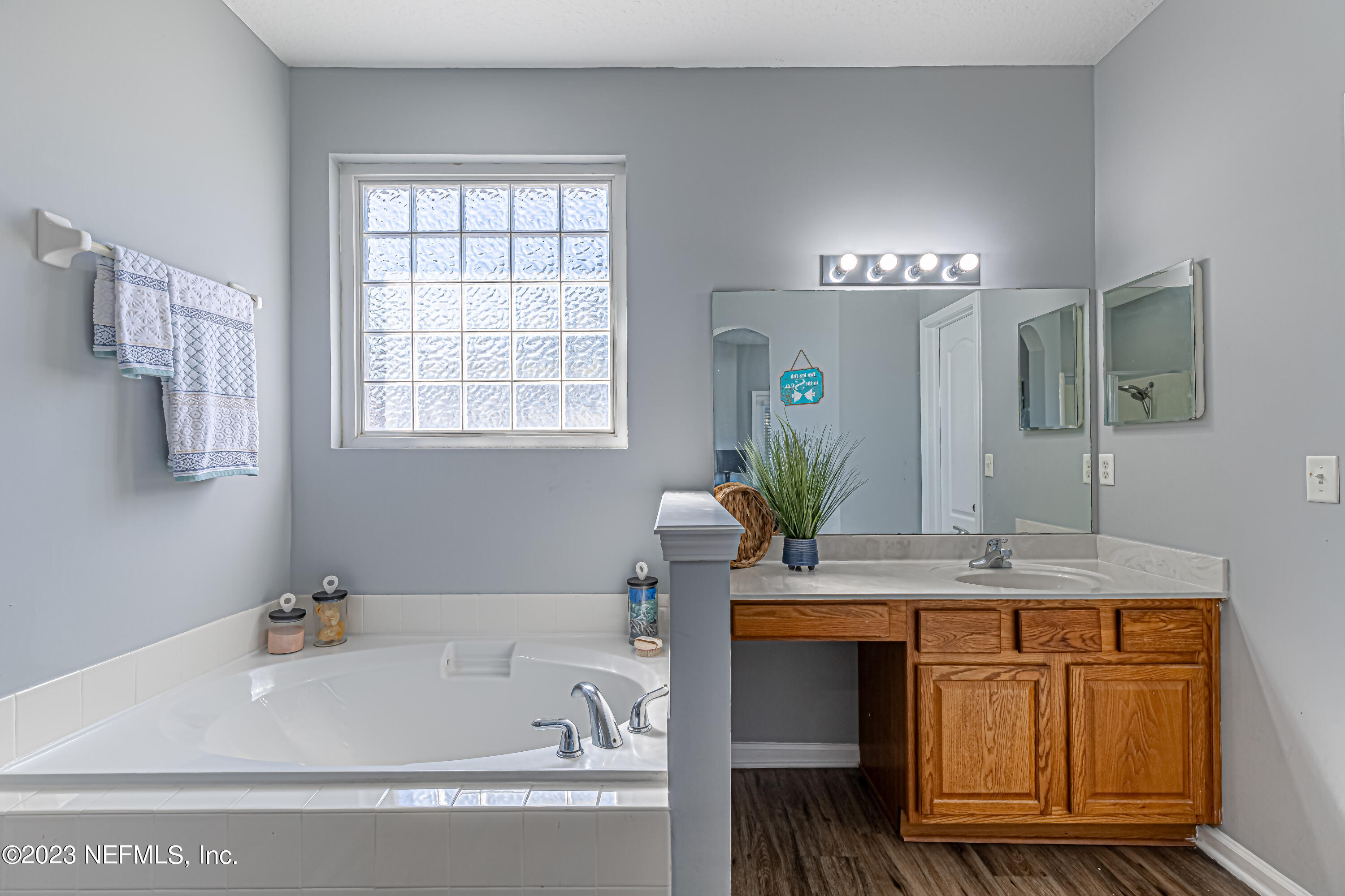 3795 Bedford Drive Middleburg, FL 32068 - Photo 33 of 54 a bathroom with a tub a sink and mirror