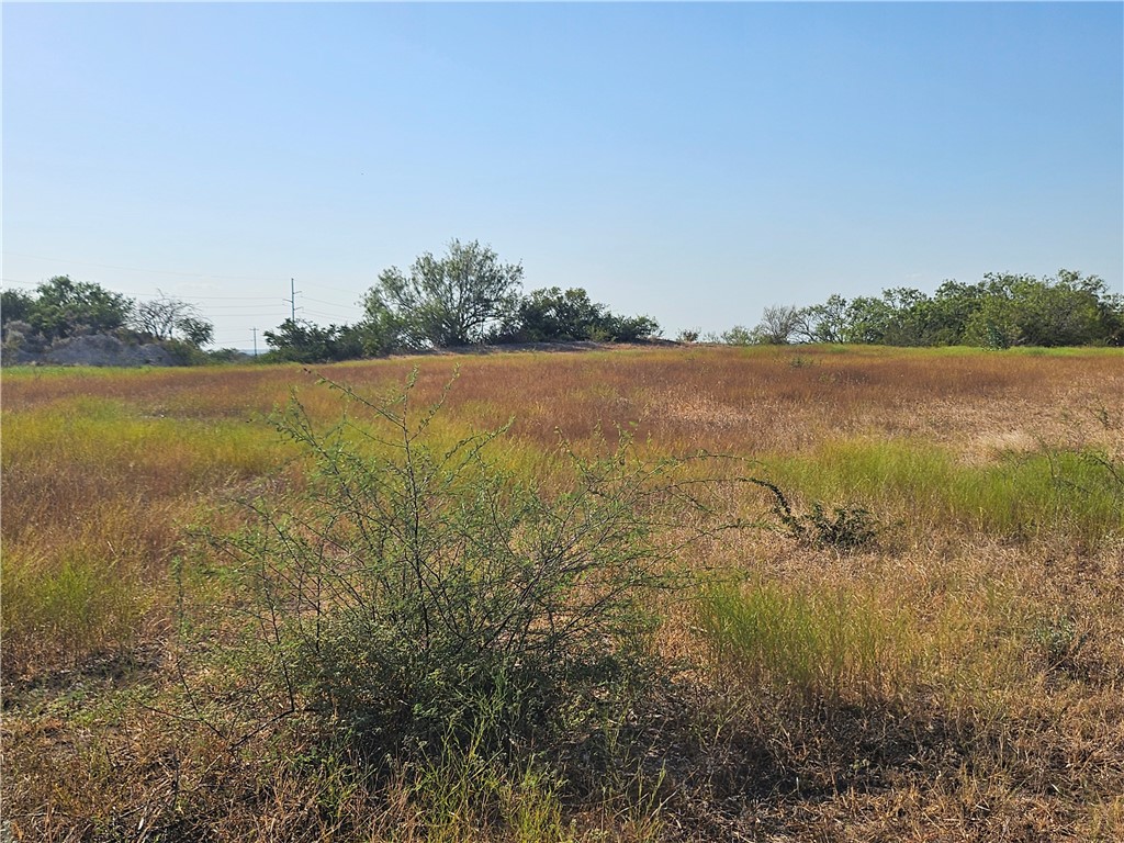 24024 441st Circle Mathis, TX 78368 - Photo 26 of 57 Gallery Image 26