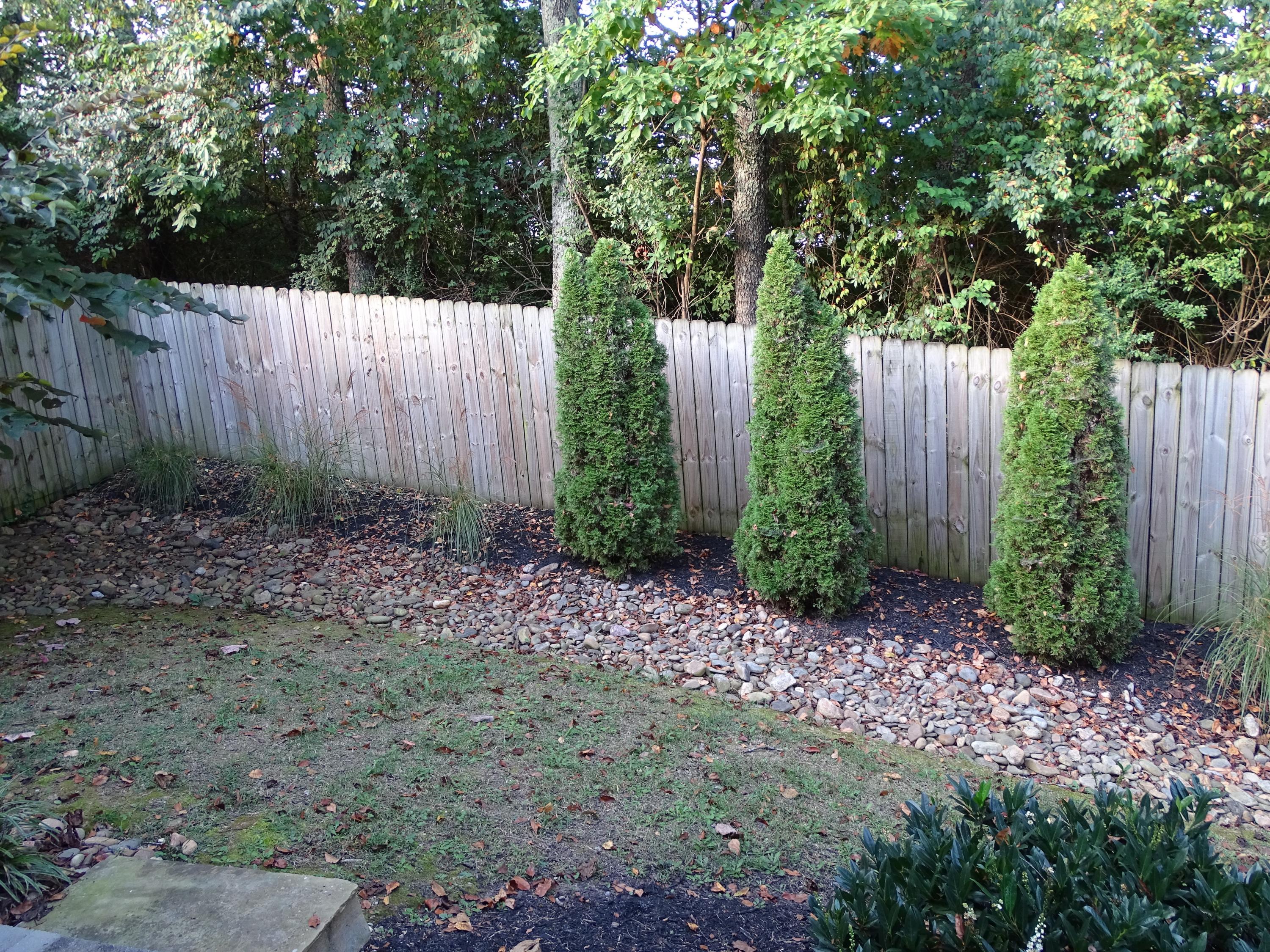 311 Java Way Knoxville, TN 37923 - Photo 25 of 28 Back Yard