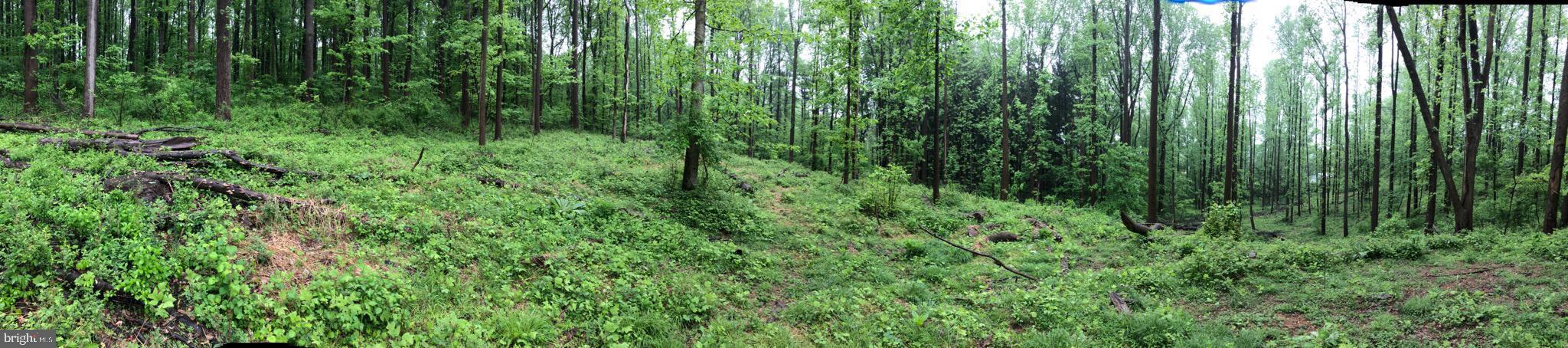 130 Pumpkin Hill Road Glenmoore, PA 19343 - Photo 1 of 6