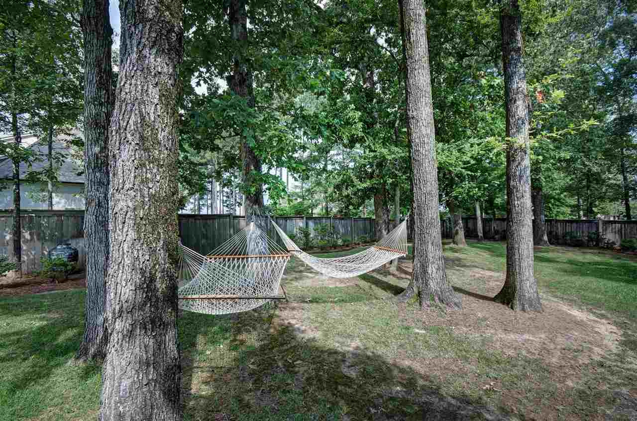 120 Rosedowne Bend Madison, MS 39110 - Photo 48 of 50 Photo 48