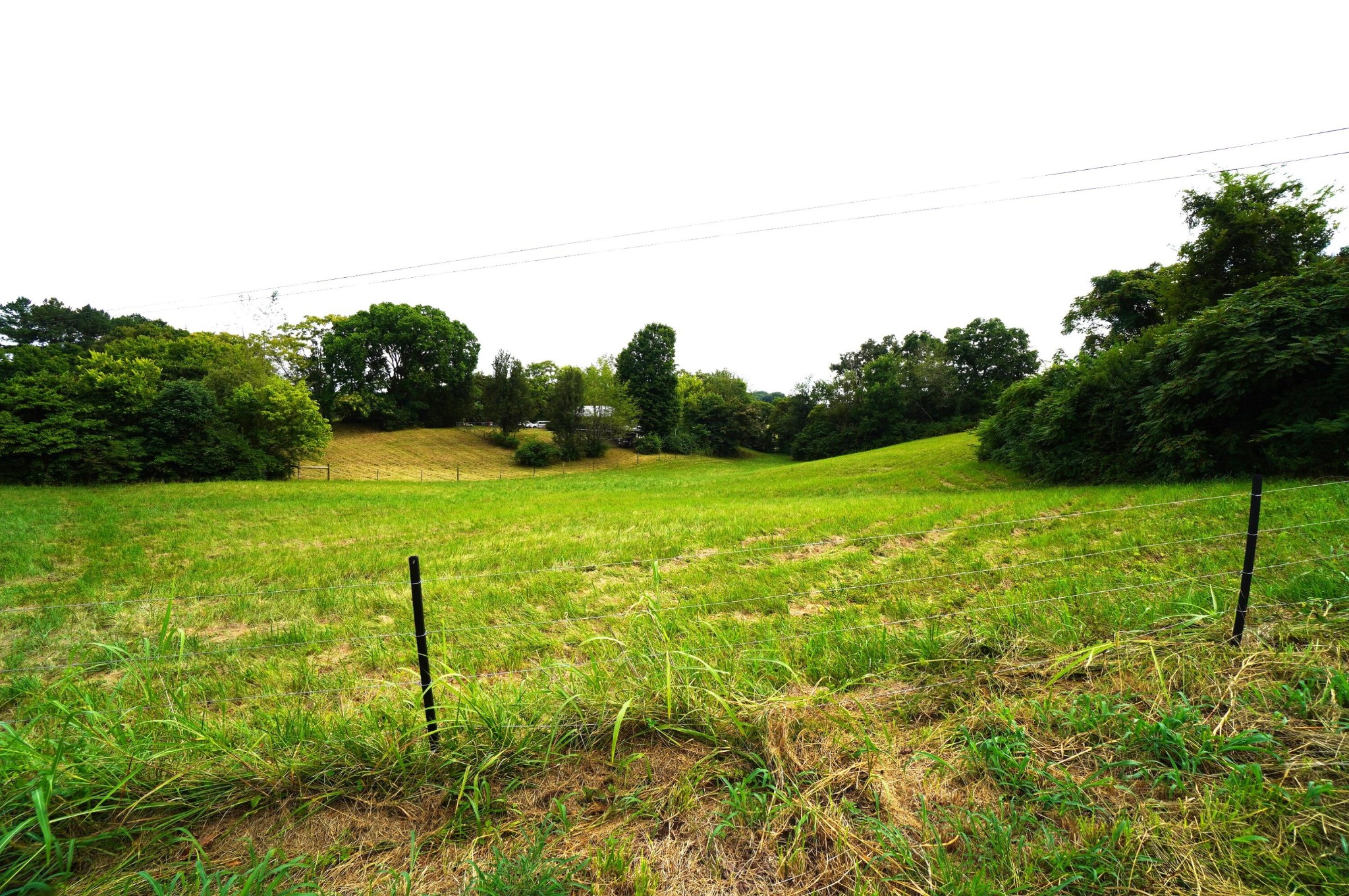 1271 Sager Road Dandridge, TN 37725 - Photo 9 of 41 Gallery Image 9