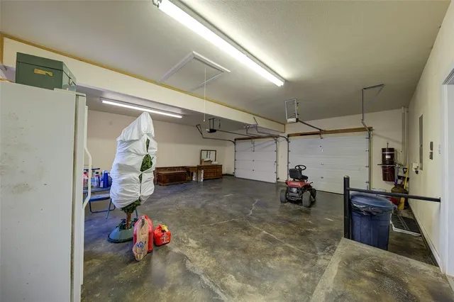 a view of a yard with plants and large trees