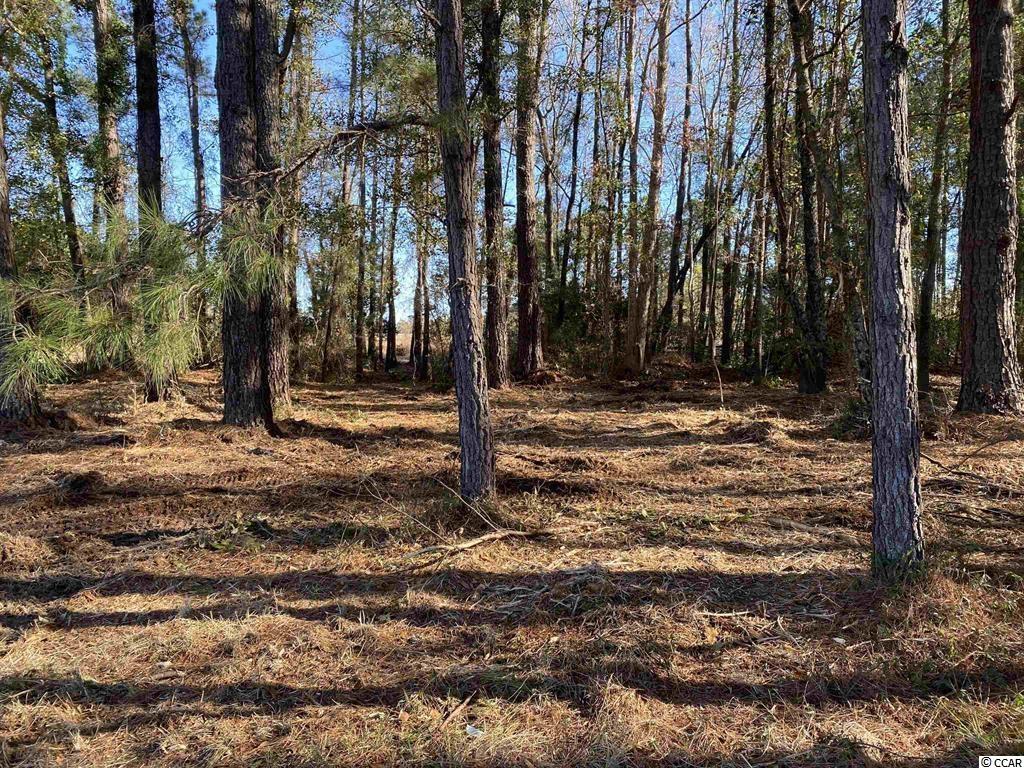 1748 Coats Road Loris, SC 29569 - Photo 1 of 8 Gallery Image 1