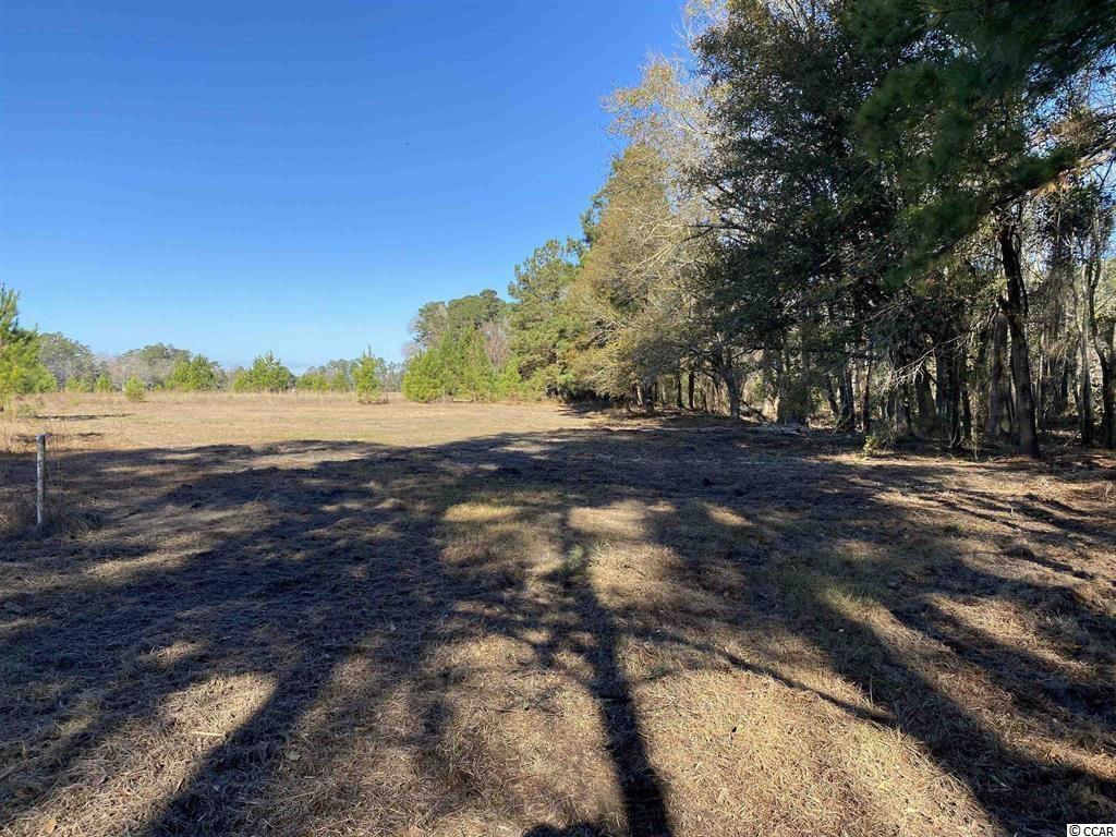 1748 Coats Road Loris, SC 29569 - Photo 2 of 8 Gallery Image 2