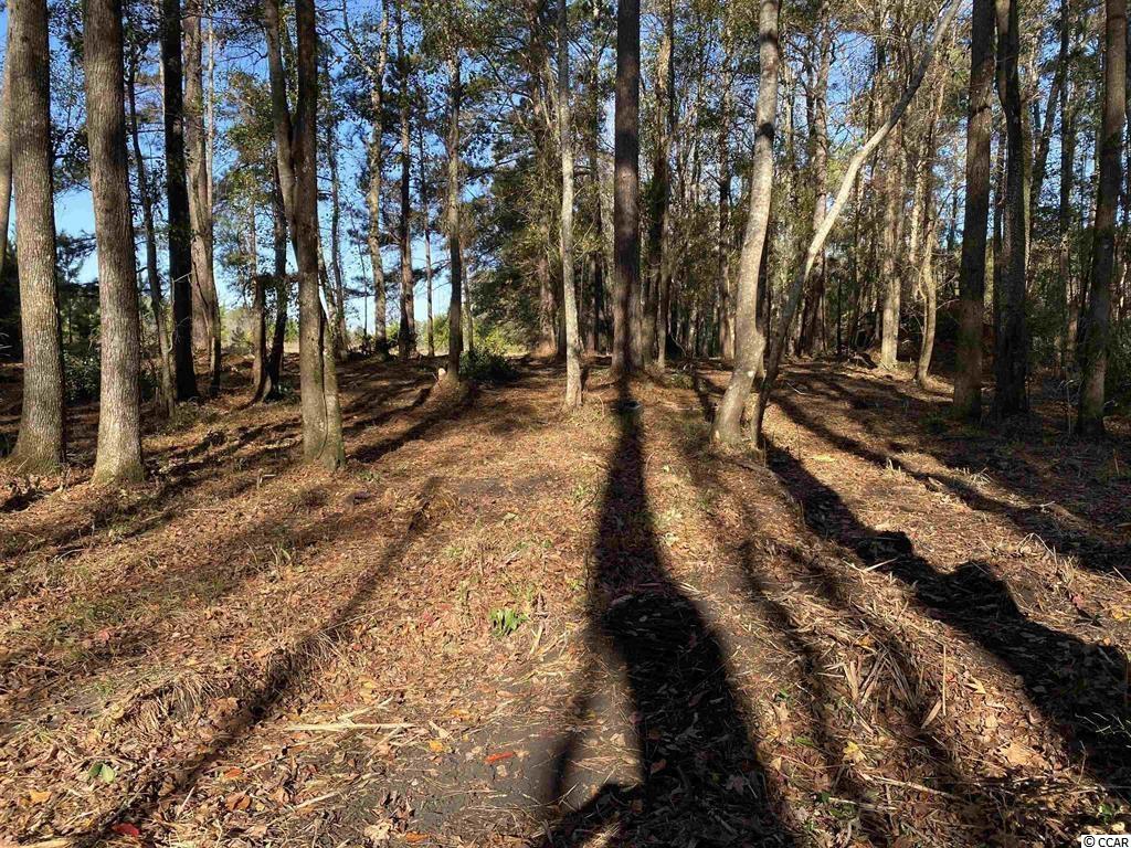 1748 Coats Road Loris, SC 29569 - Photo 3 of 8 Gallery Image 3