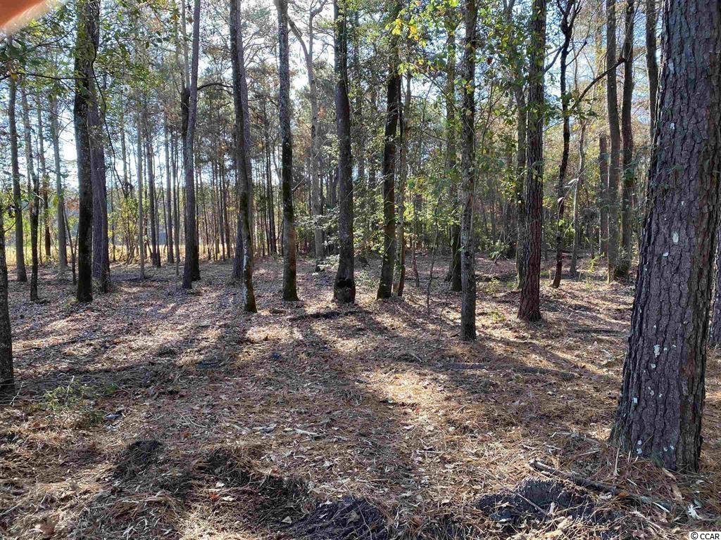 1748 Coats Road Loris, SC 29569 - Photo 4 of 8 Gallery Image 4