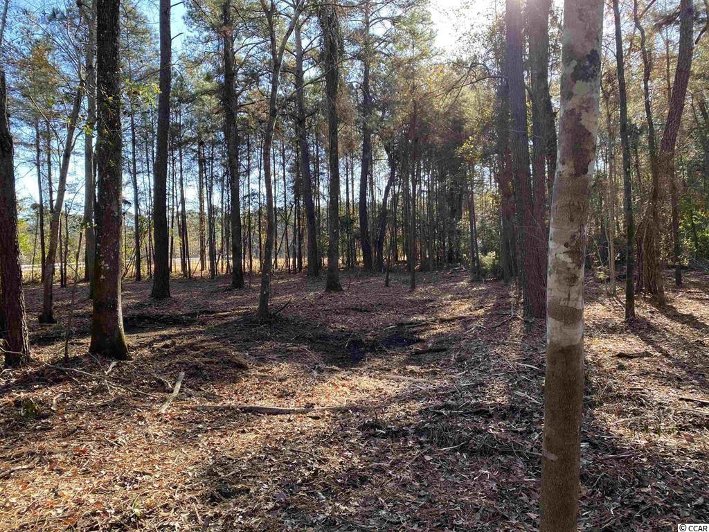 1748 Coats Road Loris, SC 29569 - Photo 5 of 8 Gallery Image 5