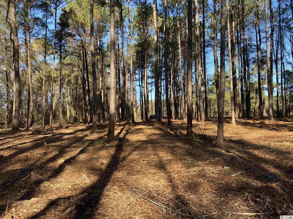 1748 Coats Road Loris, SC 29569 - Photo 6 of 8 Gallery Image 6