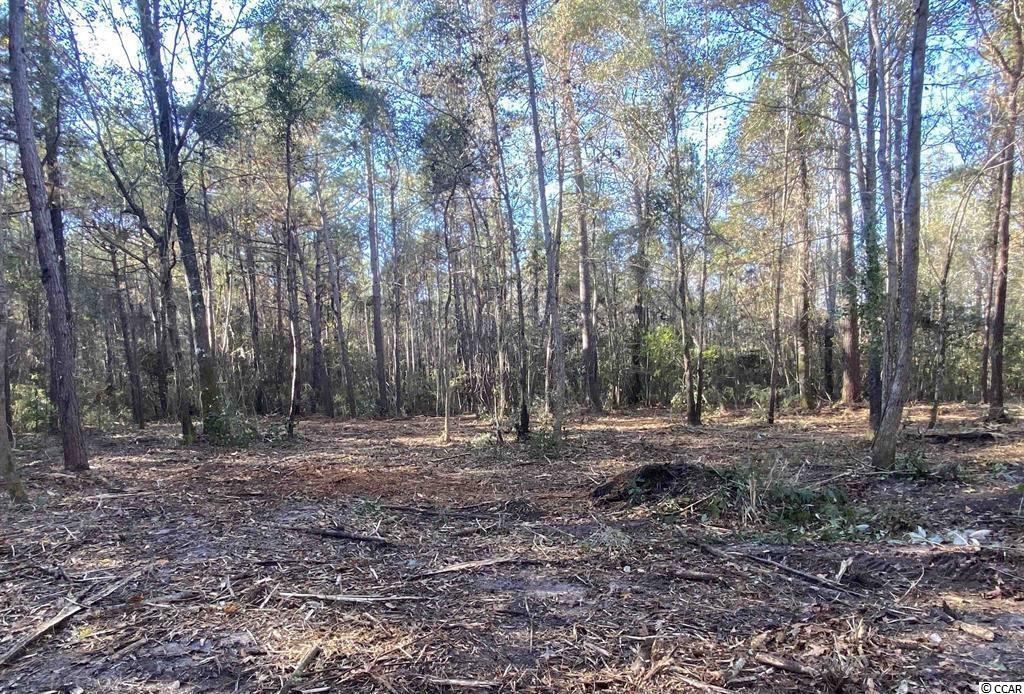 1748 Coats Road Loris, SC 29569 - Photo 7 of 8 Gallery Image 7
