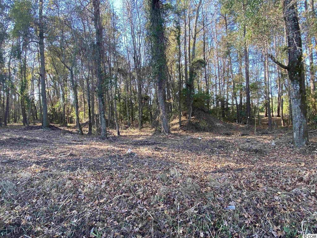 1748 Coats Road Loris, SC 29569 - Photo 8 of 8 Gallery Image 8