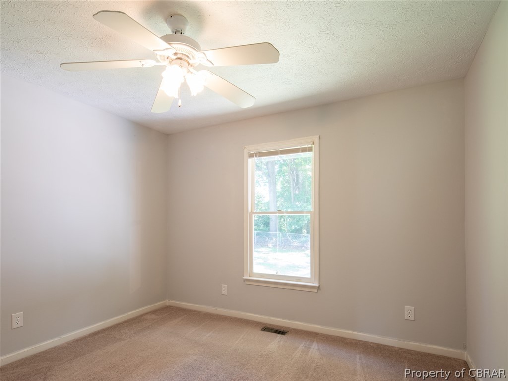 6565 Branch Road Hayes, VA 23072 - Photo 25 of 36 Gallery Image 25