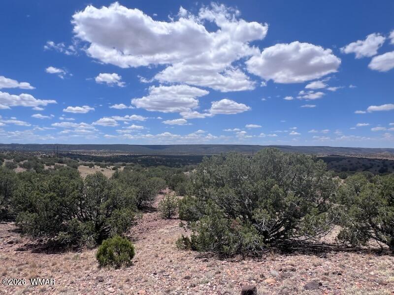 41 Indian Drive Concho, AZ 85924 - Photo 5 of 26 Long Range Views