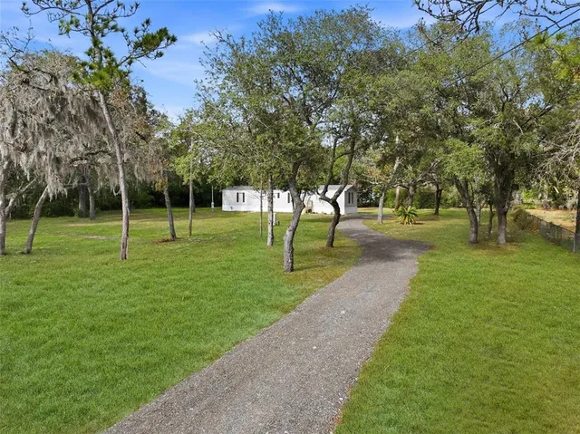 a view of a park with tree s