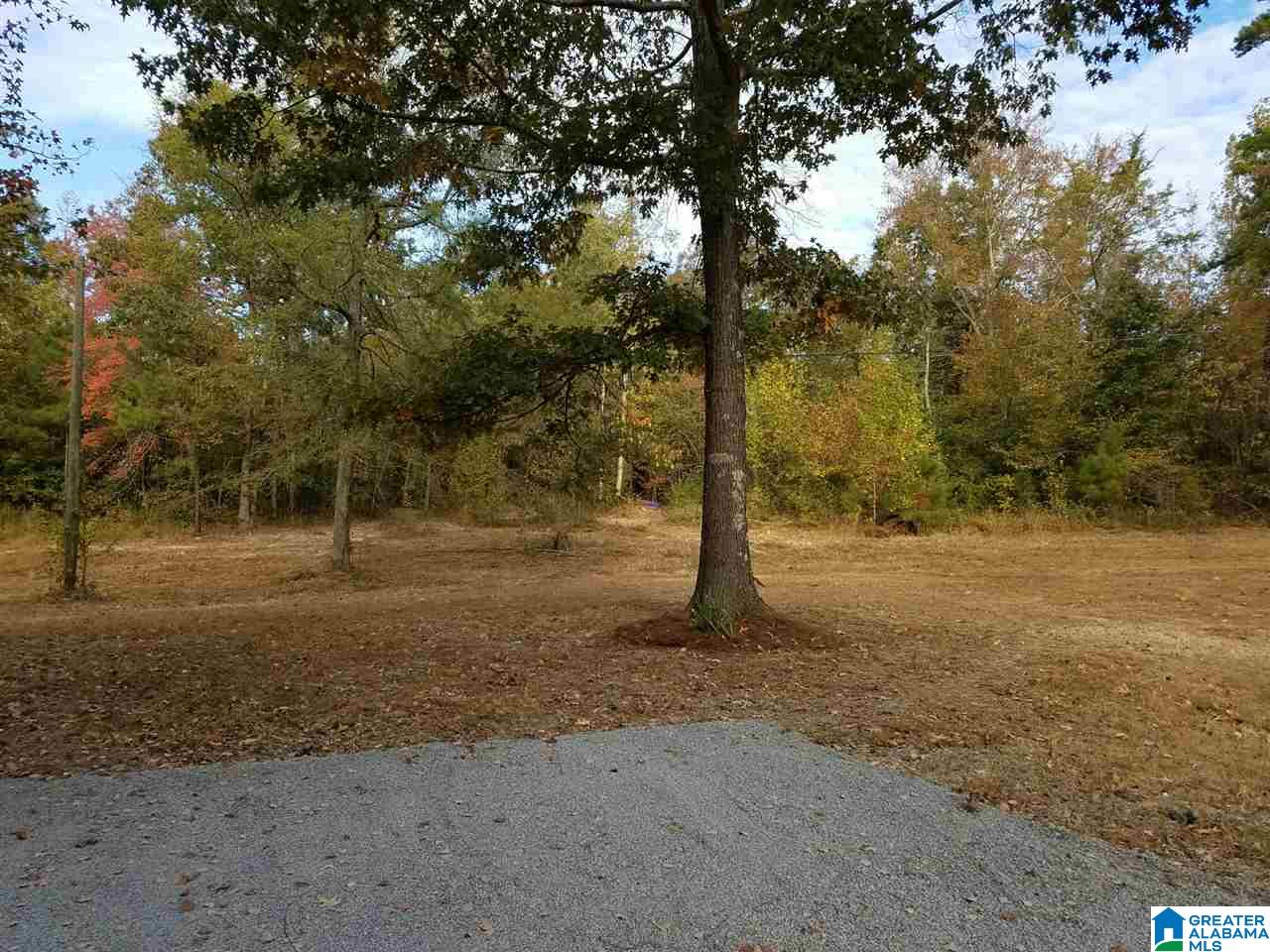 801 Old Mink Farm Road Altoona, AL 35952 - Photo 20 of 24