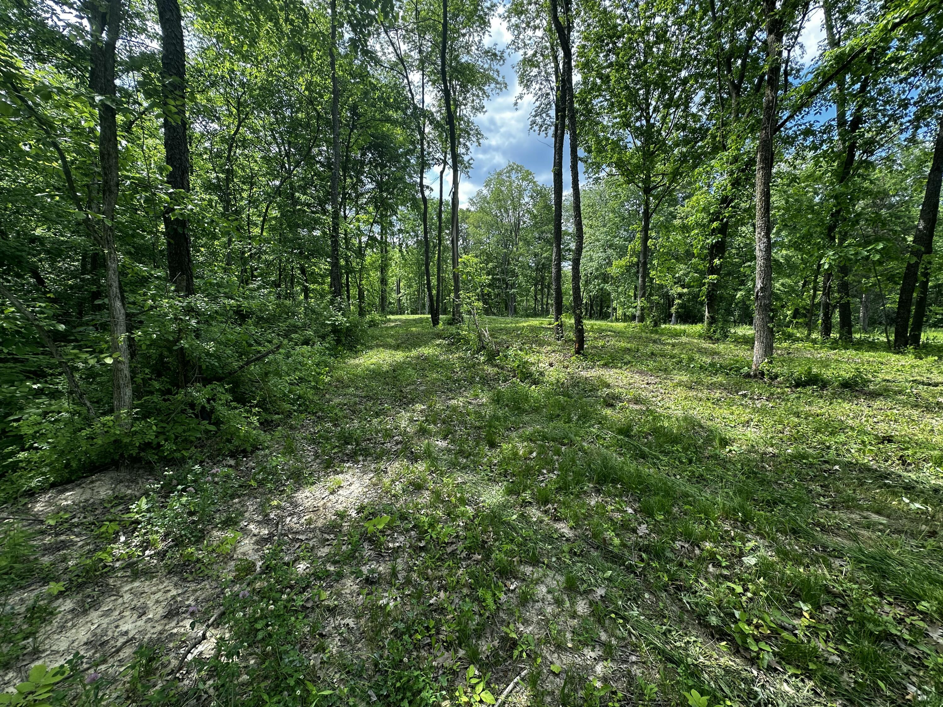 South Norris Road Delton, MI 49046 - Photo 6 of 13 IMG_0957 2