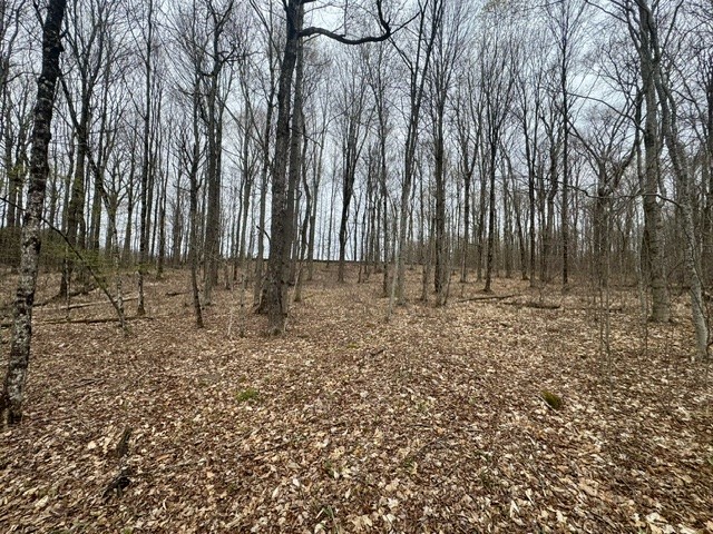 Lot 4 Shaver Hill Road Meridale, NY 13806 - Photo 22 of 44