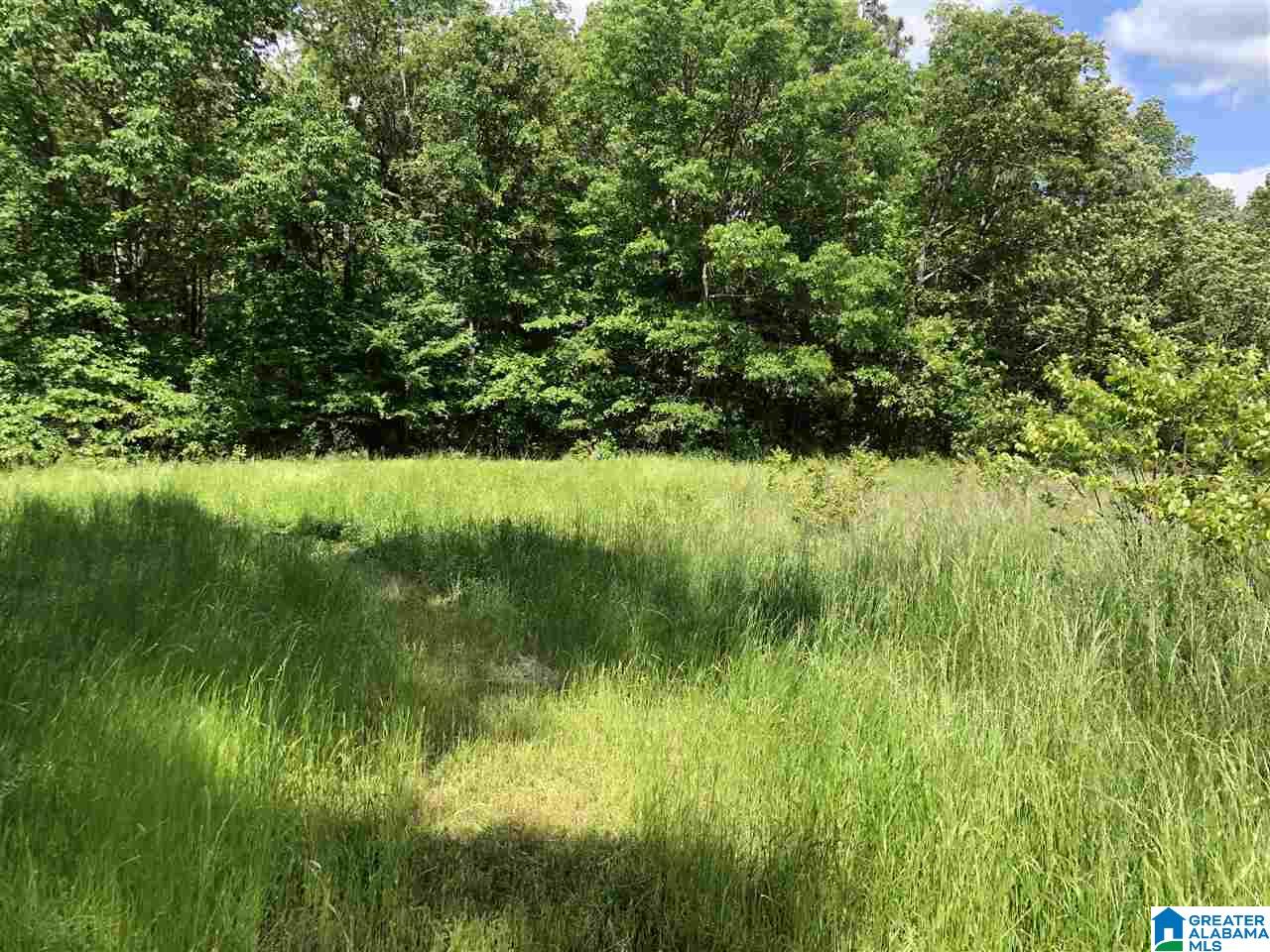 230 Copper Springs Road Odenville, AL 35120 - Photo 12 of 42