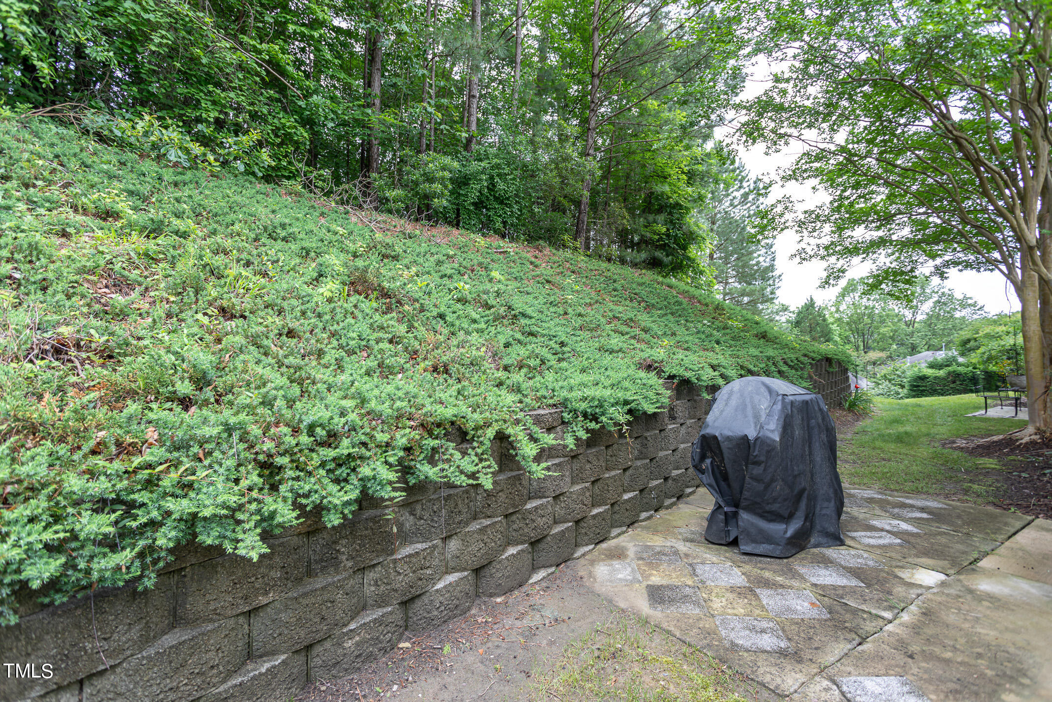2548 Bent Green Street Raleigh, NC 27614 - Photo 24 of 28 a view of a backyard with plants and outdoor seating
