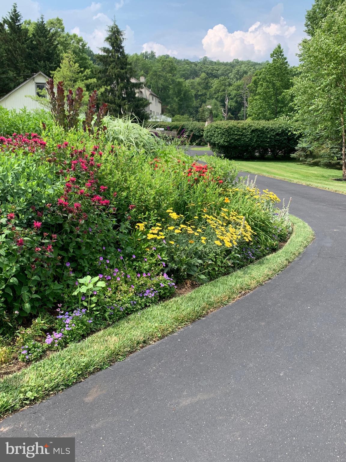 1733 Holicong Road New Hope, PA 18938 - Photo 48 of 59